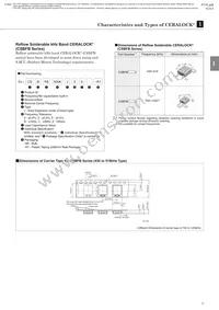 CSBLA640KEC8-B0 Datasheet Page 7