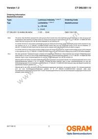 CT DELSS1.12-AABA-36-44G4 Datasheet Page 2