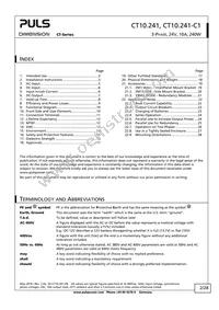 CT10.241-C1 Datasheet Page 2