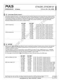 CT10.241-C1 Datasheet Page 12