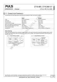 CT10.481 Datasheet Page 11