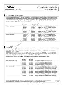 CT10.481 Datasheet Page 12
