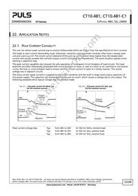 CT10.481 Datasheet Page 22