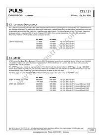 CT5.121 Datasheet Page 12