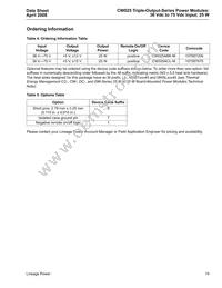 CW025ACL-M Datasheet Page 19