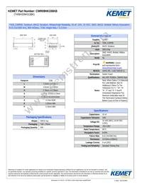 CWR09HK336KB Datasheet Cover