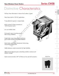 CWSB21DADF Datasheet Page 2