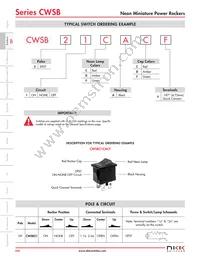 CWSB21DADF Datasheet Page 3