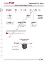 CWSC21JCACS Datasheet Page 3