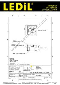 CX11354_LAURA-M Datasheet Page 2