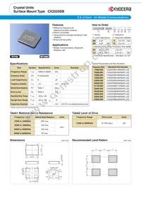 CX2520SB13560D0GEJZ1 Datasheet Page 2