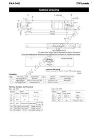 CXA-0463 Datasheet Page 2