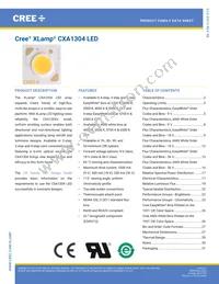 CXA1304-0000-000C00B430G Cover