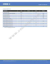 CXA1304-0000-000C00B430G Datasheet Page 2