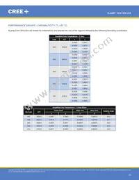 CXA1304-0000-000C00B430G Datasheet Page 23