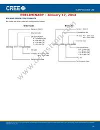 CXA1310-0000-000F0UH450H Datasheet Page 16