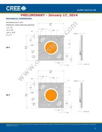 CXA1310-0000-000F0UH450H Datasheet Page 17