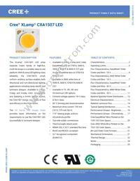 CXA1507-0000-000F0UE250F Datasheet Cover