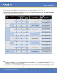 CXA1510-0000-000N0YG235F Datasheet Page 13