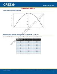 CXA1850-0000-000N00U430F Datasheet Page 11