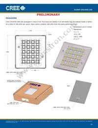 CXA1850-0000-000N00U430F Datasheet Page 19