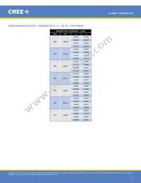 CXA2520-0000-000N00R235G Datasheet Page 11