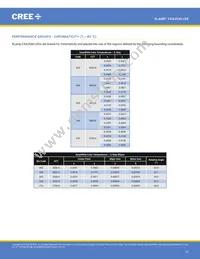 CXA2540-0000-000N00V40E3 Datasheet Page 10