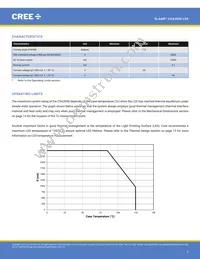 CXA3050-0000-000N0HY240H Datasheet Page 2