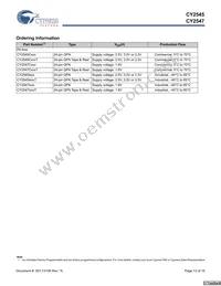 CY2545FCT Datasheet Page 13