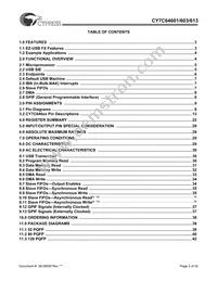 CY7C64613-80NC Datasheet Page 2