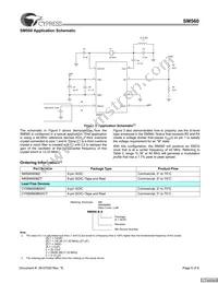 CYISM560BSXCT Datasheet Page 6