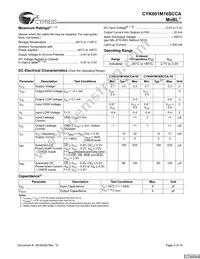 CYK001M16SCAU-70BAXI Datasheet Page 3