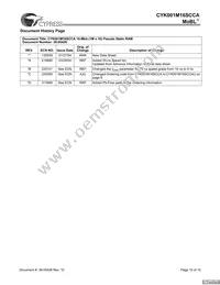 CYK001M16SCAU-70BAXI Datasheet Page 10