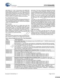 CYV15G0404RB-BGC Datasheet Page 14