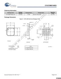 CYV270M0104EQ-LXC Datasheet Page 8