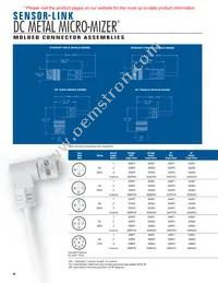 DB40S4SS4P3-12 Datasheet Page 18