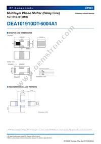 DEA101910DT-6004A1 Datasheet Page 2