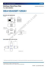 DEA105425BT-1293A1 Datasheet Page 2
