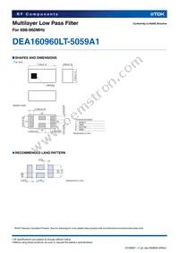 DEA160960LT-5059A1 Datasheet Page 2
