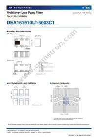 DEA161910LT-5003C1 Datasheet Page 2