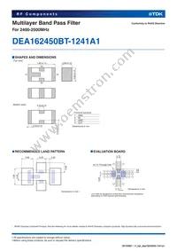 DEA162450BT-1241A1 Datasheet Page 2