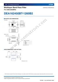 DEA162450BT-1260B2 Datasheet Page 2