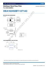 DEA162450BT-1271A3 Datasheet Page 2