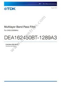 DEA162450BT-1289A3 Datasheet Cover