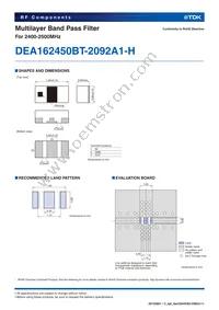 DEA162450BT-2092A1-H Datasheet Page 2
