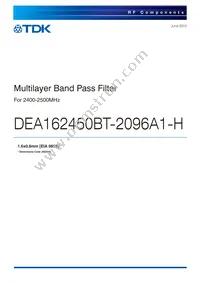 DEA162450BT-2096A1-H Datasheet Cover