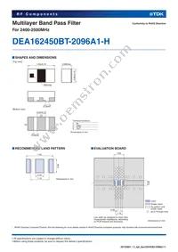 DEA162450BT-2096A1-H Datasheet Page 2