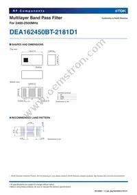 DEA162450BT-2181D1 Datasheet Page 2
