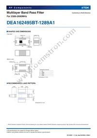 DEA162495BT-1289A1 Datasheet Page 2