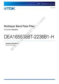 DEA165538BT-2236B1-H Datasheet Cover